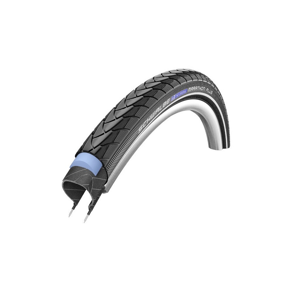 schwalbe.jpg