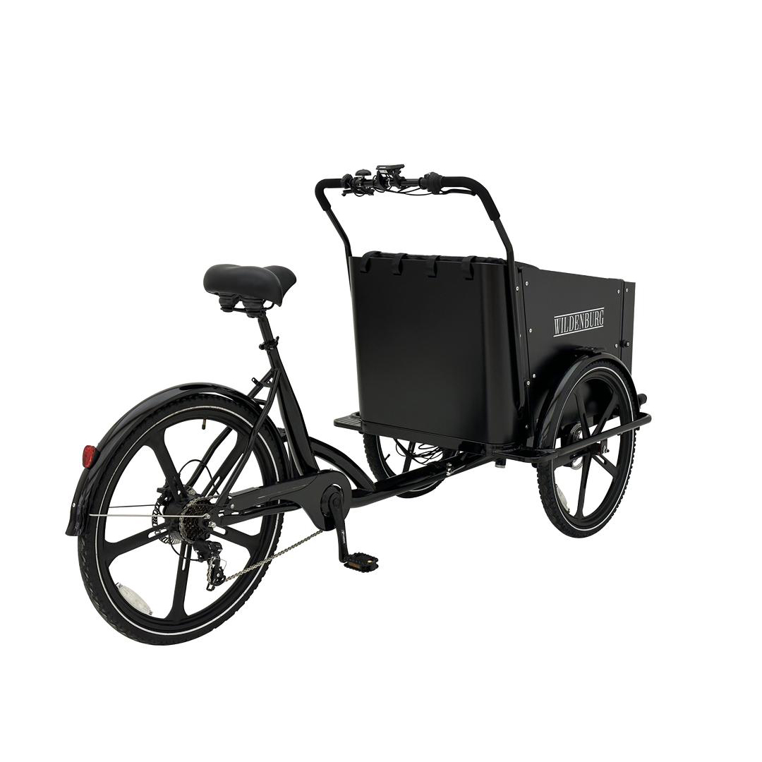 Wildenburg Nordic City El-ladcykel med magnesiumfÃ¦lge set bagfra